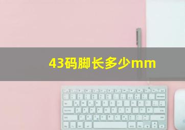 43码脚长多少mm