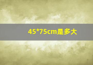 45*75cm是多大