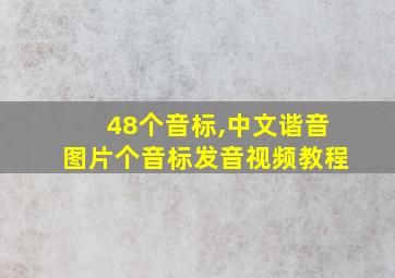 48个音标,中文谐音图片个音标发音视频教程