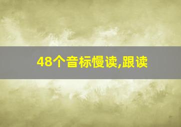 48个音标慢读,跟读