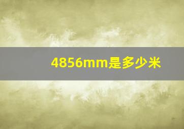 4856mm是多少米