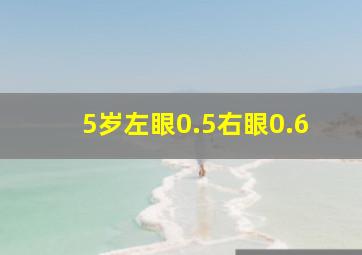 5岁左眼0.5右眼0.6