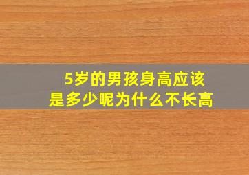 5岁的男孩身高应该是多少呢为什么不长高