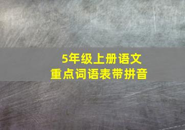 5年级上册语文重点词语表带拼音