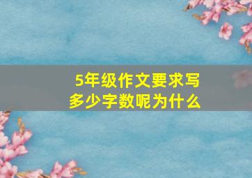 5年级作文要求写多少字数呢为什么