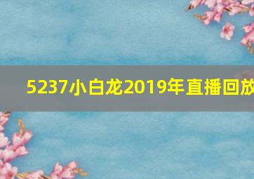 5237小白龙2019年直播回放