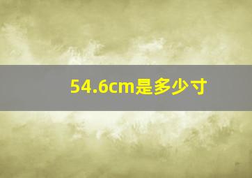 54.6cm是多少寸