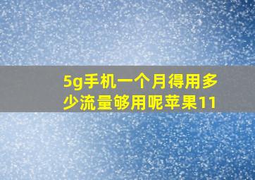 5g手机一个月得用多少流量够用呢苹果11