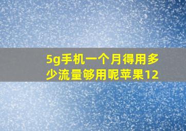 5g手机一个月得用多少流量够用呢苹果12