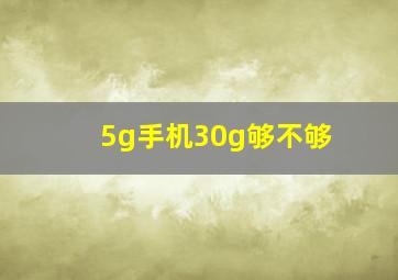 5g手机30g够不够