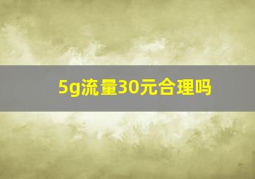 5g流量30元合理吗