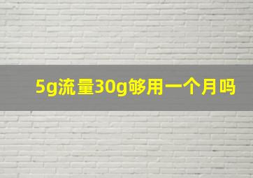 5g流量30g够用一个月吗