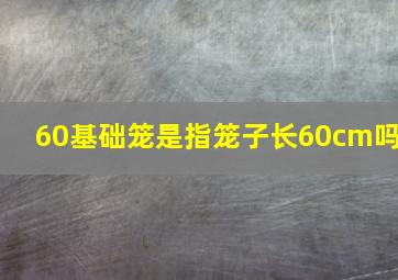 60基础笼是指笼子长60cm吗