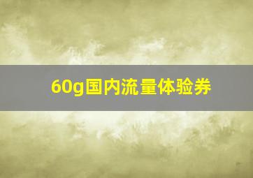 60g国内流量体验券