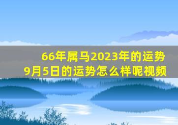 66年属马2023年的运势9月5日的运势怎么样呢视频