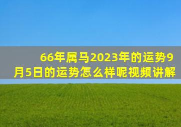 66年属马2023年的运势9月5日的运势怎么样呢视频讲解