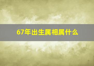 67年出生属相属什么