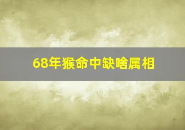 68年猴命中缺啥属相