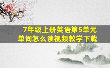 7年级上册英语第5单元单词怎么读视频教学下载