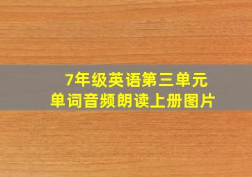 7年级英语第三单元单词音频朗读上册图片