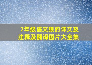 7年级语文狼的译文及注释及翻译图片大全集