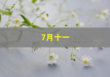 7月十一