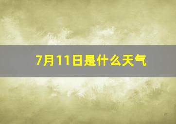 7月11日是什么天气