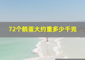 72个鹅蛋大约重多少千克