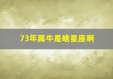 73年属牛是啥星座啊