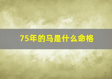 75年的马是什么命格