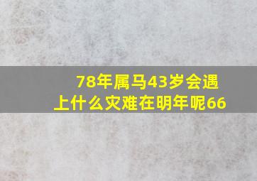 78年属马43岁会遇上什么灾难在明年呢66