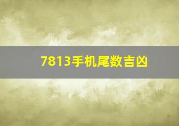 7813手机尾数吉凶