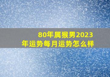 80年属猴男2023年运势每月运势怎么样