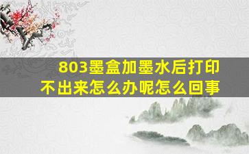 803墨盒加墨水后打印不出来怎么办呢怎么回事