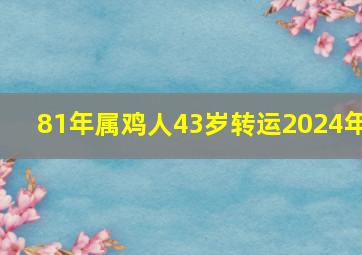 81年属鸡人43岁转运2024年