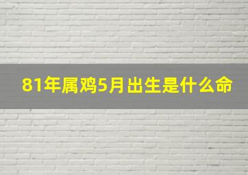 81年属鸡5月出生是什么命