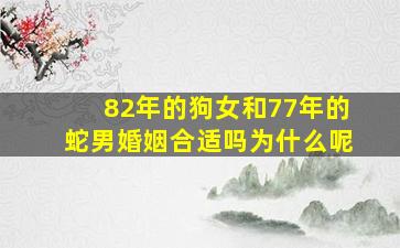 82年的狗女和77年的蛇男婚姻合适吗为什么呢