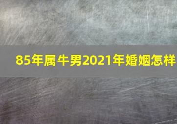 85年属牛男2021年婚姻怎样