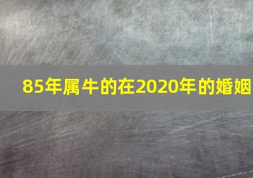 85年属牛的在2020年的婚姻