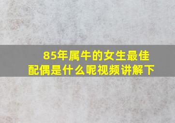 85年属牛的女生最佳配偶是什么呢视频讲解下