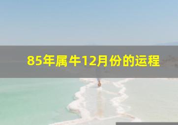 85年属牛12月份的运程