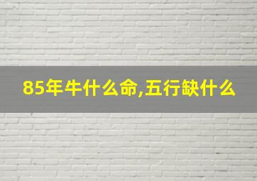 85年牛什么命,五行缺什么