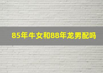 85年牛女和88年龙男配吗