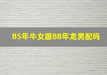 85年牛女跟88年龙男配吗