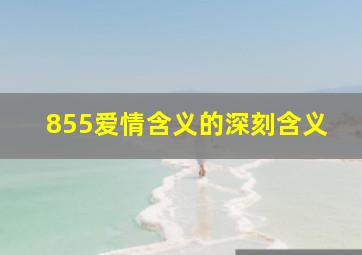 855爱情含义的深刻含义