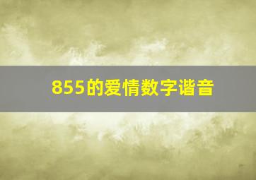 855的爱情数字谐音