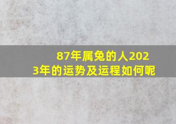 87年属兔的人2023年的运势及运程如何呢