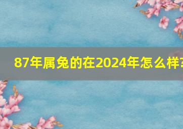 87年属兔的在2024年怎么样?