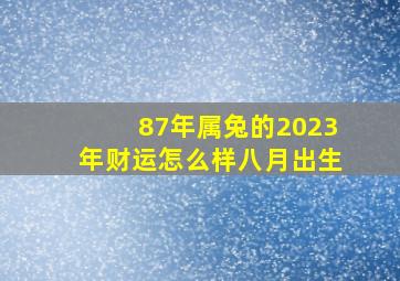 87年属兔的2023年财运怎么样八月出生