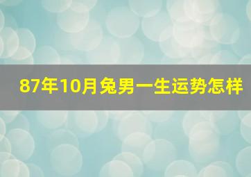 87年10月兔男一生运势怎样